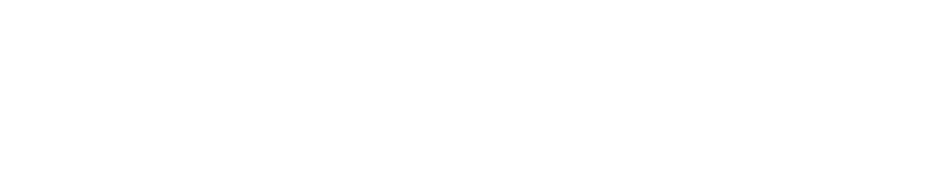 wg wellgift logo